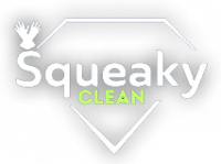 Professioneel schoonmaakbedrijf - Squeaky Clean, Berchem