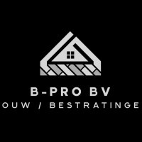 Ecologische bestrating - B-Pro BV, Lille