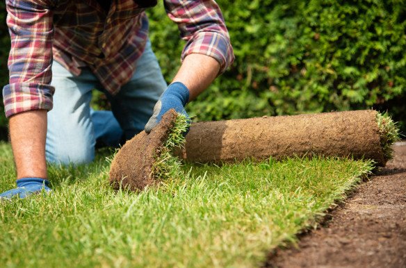 Aanleggen van gazon Nieuwkerken-Waas (Sint-Niklaas), Oost-Vlaanderen