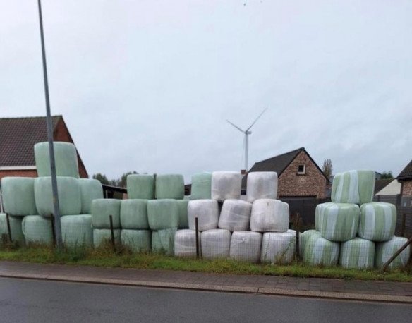 Voordroog hooi Zele, Oost-Vlaanderen