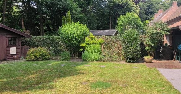 Snoeien van hagen en bomen Nazareth, Oost-Vlaanderen