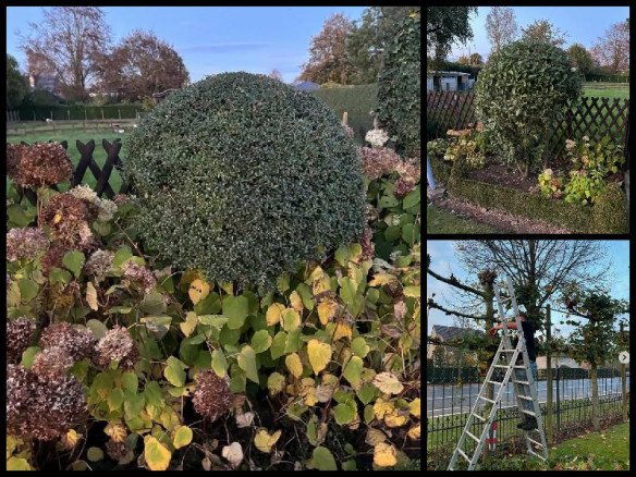 Tuin winterklaar maken Zwalm, Oost-Vlaanderen